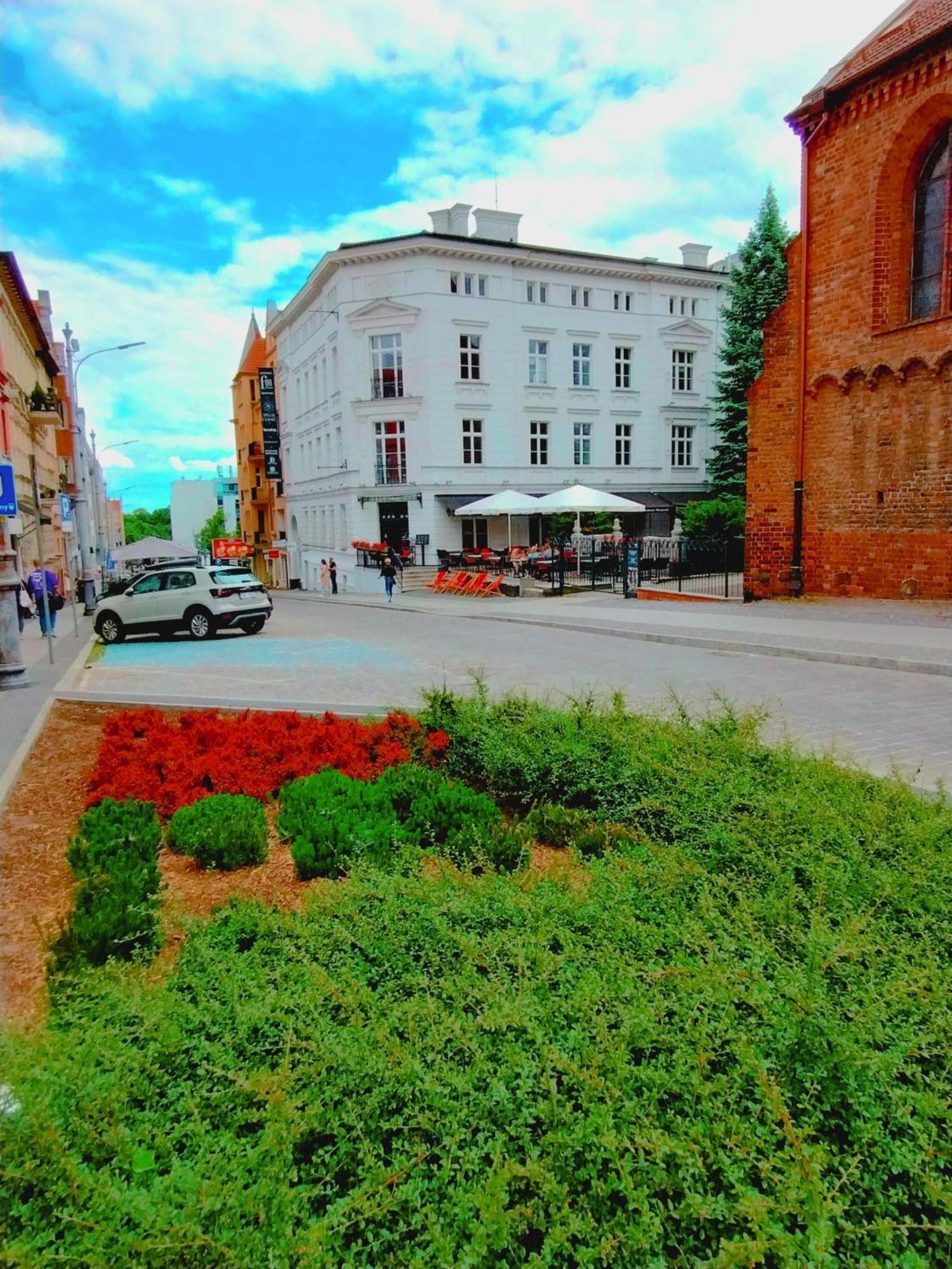 Lawendowy Old Town *